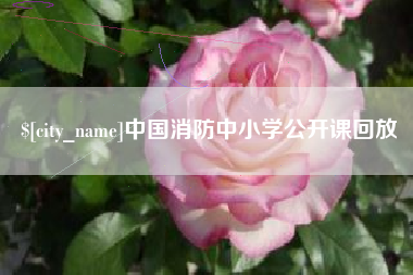 新乡中国消防中小学公开课回放