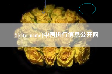 新乡中国执行信息公开网