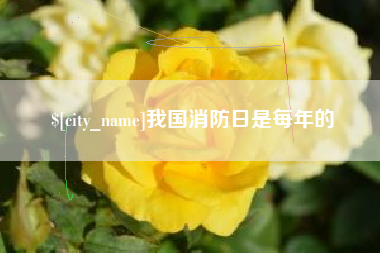 新乡我国消防日是每年的
