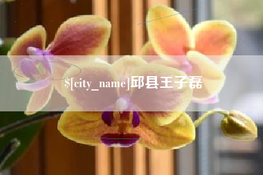 新乡邱县王子磊
