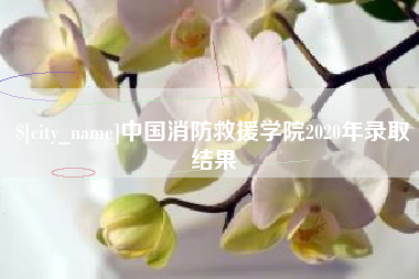 新乡中国消防救援学院2020年录取结果