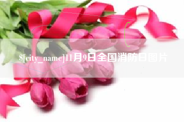 新乡11月9日全国消防日图片
