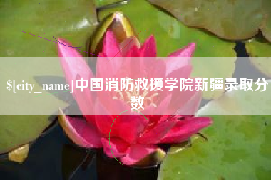 新乡中国消防救援学院新疆录取分数