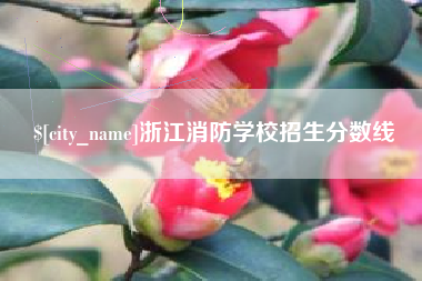 新乡浙江消防学校招生分数线