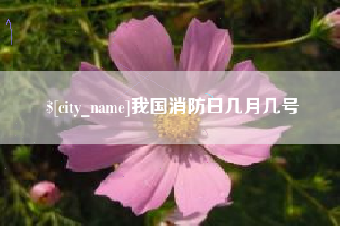 新乡我国消防日几月几号