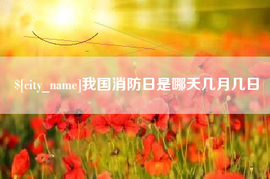 新乡我国消防日是哪天几月几日