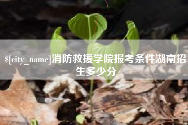 新乡消防救援学院报考条件湖南招生多少分