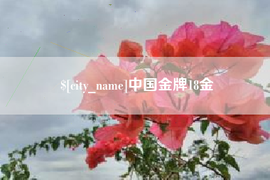 新乡中国金牌18金