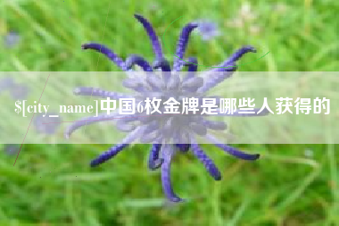 新乡中国6枚金牌是哪些人获得的