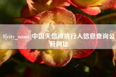 新乡中国失信被执行人信息查询公开网址