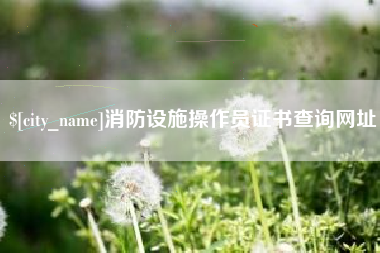 新乡消防设施操作员证书查询网址
