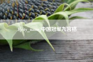 新乡中国冠军九宫格
