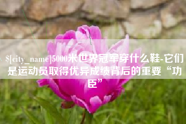 新乡5000米世界冠军穿什么鞋-它们是运动员取得优异成绩背后的重要“功臣”