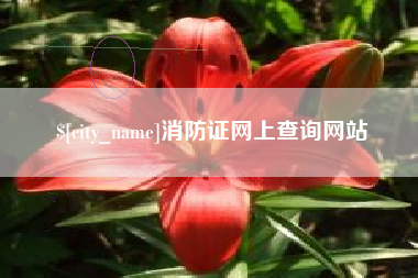 新乡消防证网上查询网站