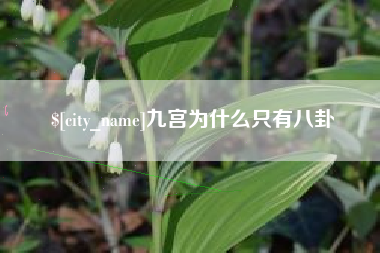 新乡九宫为什么只有八卦