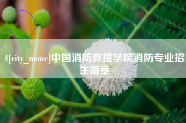 新乡中国消防救援学院消防专业招生简章