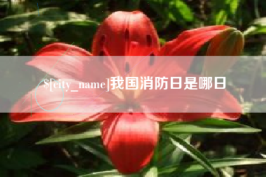 新乡我国消防日是哪日