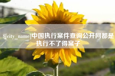 新乡中国执行案件查询公开网都是执行不了得案子
