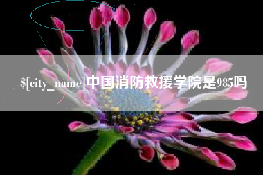 新乡中国消防救援学院是985吗