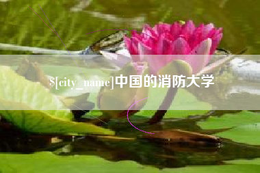 新乡中国的消防大学