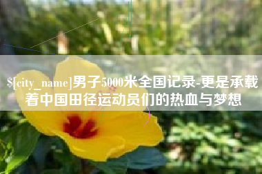 新乡男子5000米全国记录-更是承载着中国田径运动员们的热血与梦想