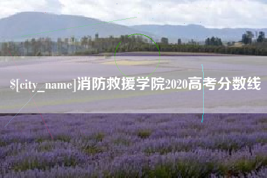 新乡消防救援学院2020高考分数线