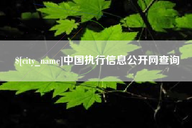 新乡中国执行信息公开网查询