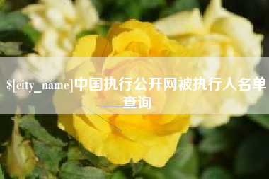 新乡中国执行公开网被执行人名单查询