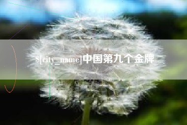 新乡中国第九个金牌