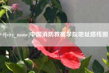新乡中国消防救援学院地址路线图