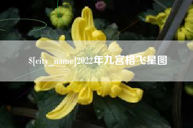 新乡2022年九宫格飞星图