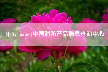 新乡中国消防产品信息查询中心