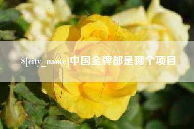 新乡中国金牌都是哪个项目