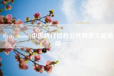 新乡中国执行信息公开网多久能消除