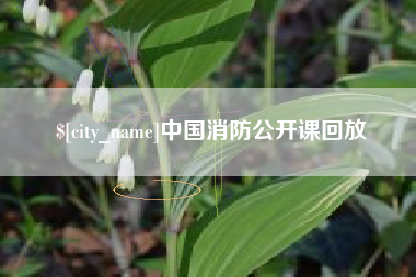新乡中国消防公开课回放