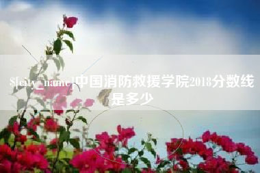 新乡中国消防救援学院2018分数线是多少