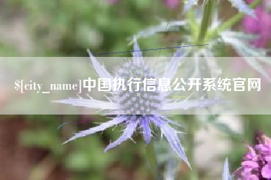 新乡中国执行信息公开系统官网