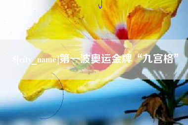 新乡第一波奥运金牌“九宫格”