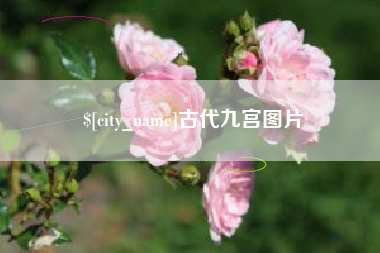 新乡古代九宫图片