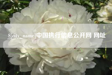新乡中国执行信息公开网 网址