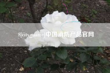 新乡中国消防产品官网