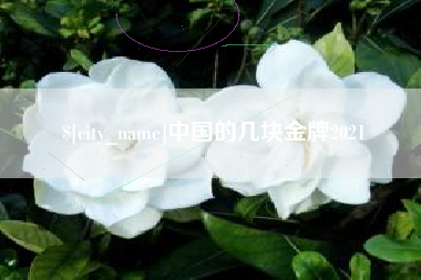 新乡中国的几块金牌2021