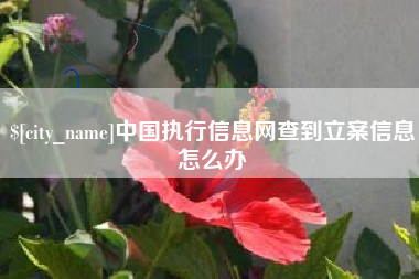新乡中国执行信息网查到立案信息怎么办
