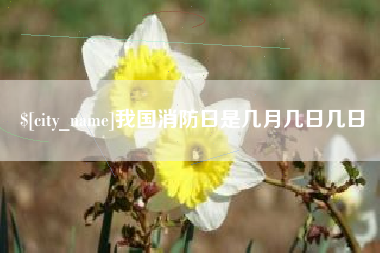 新乡我国消防日是几月几日几日