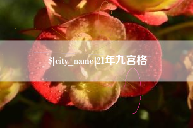 新乡21年九宫格