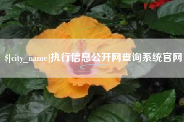 新乡执行信息公开网查询系统官网