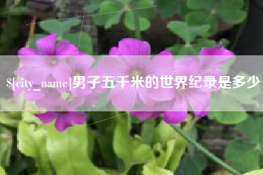 新乡男子五千米的世界纪录是多少