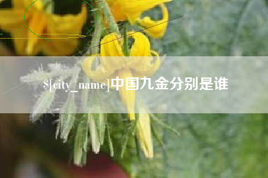 新乡中国九金分别是谁