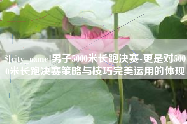 新乡男子5000米长跑决赛-更是对5000米长跑决赛策略与技巧完美运用的体现