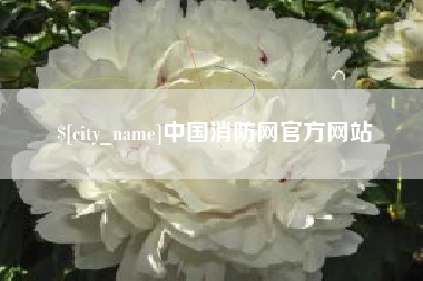 新乡中国消防网官方网站